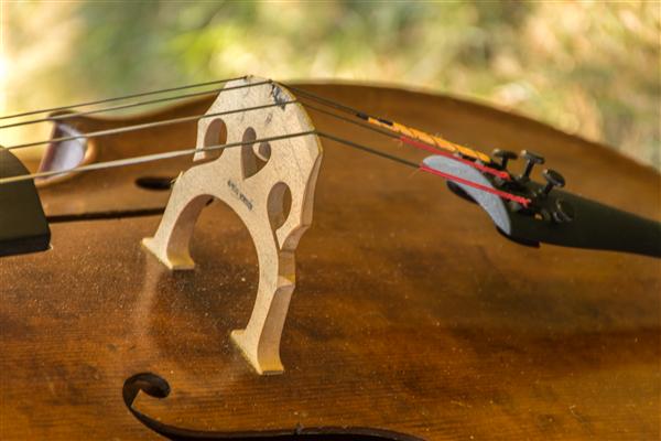 cello